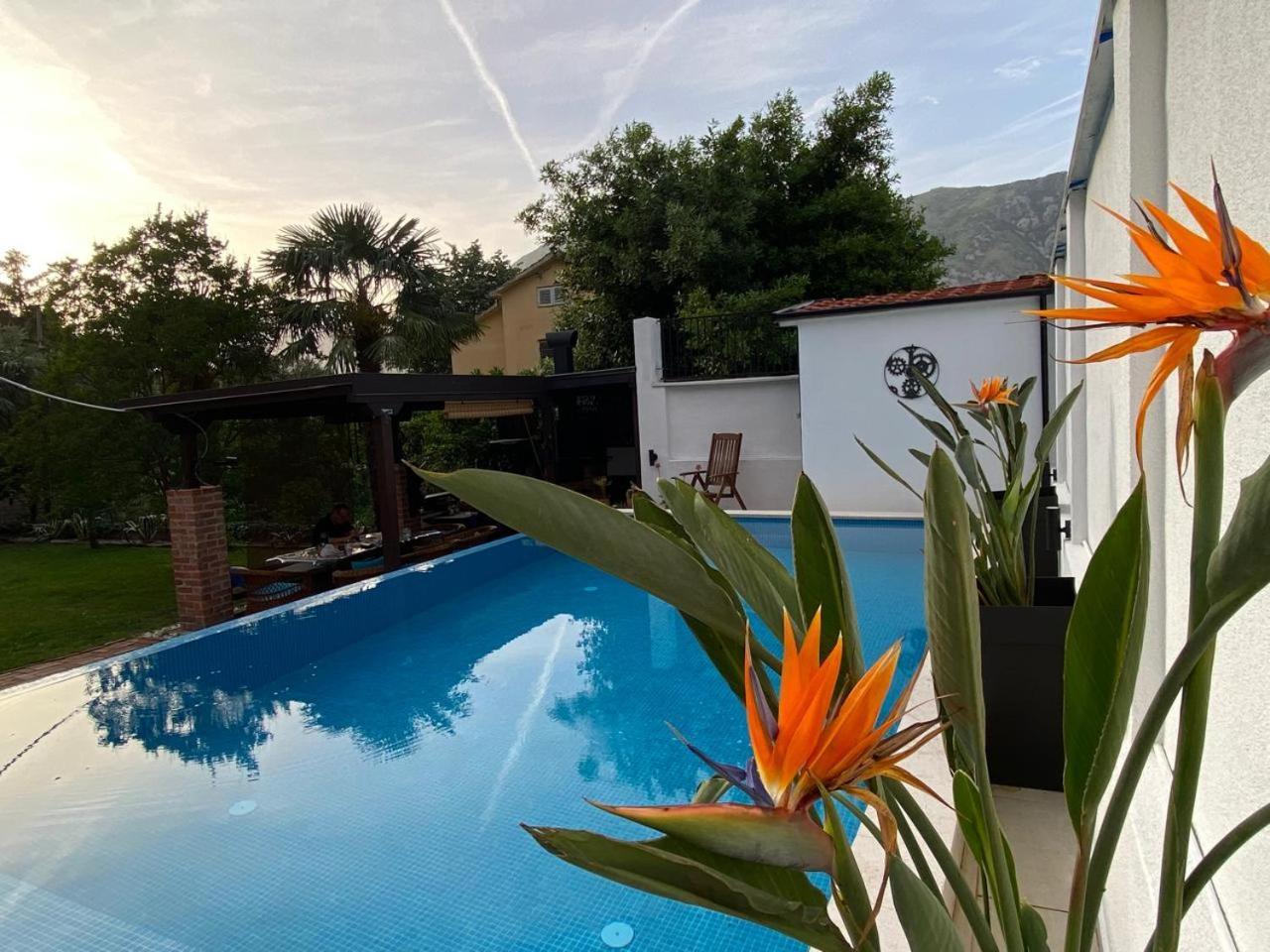 Villa Nikola Cattaro Esterno foto